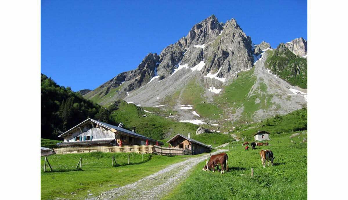 Bel Appartement Au Decor Montagnard - 80M2 Les Contamines-Montjoie Buitenkant foto