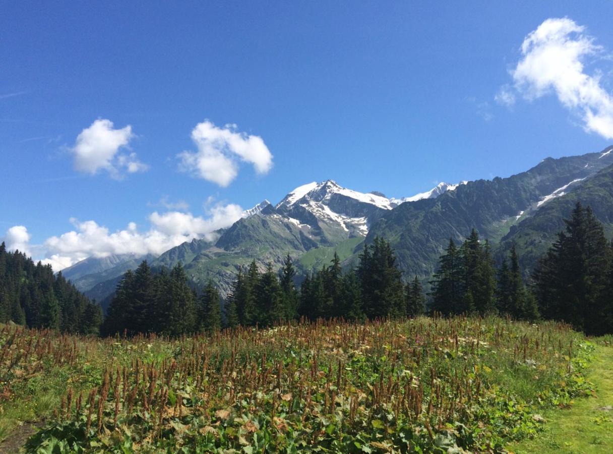 Bel Appartement Au Decor Montagnard - 80M2 Les Contamines-Montjoie Buitenkant foto
